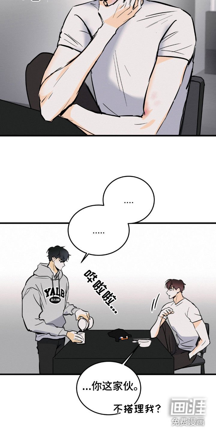 第27章：以后再说