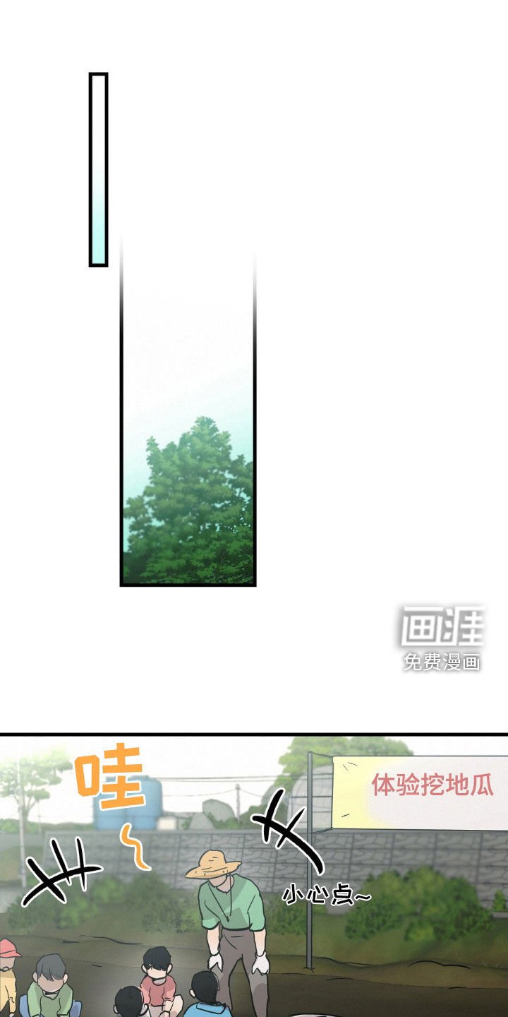 第40章：闪亮登场