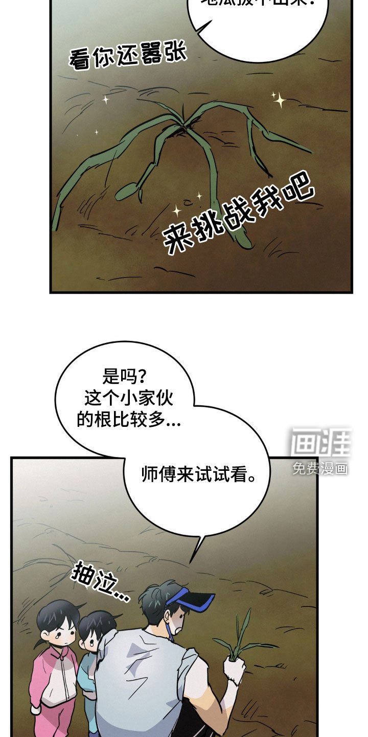第40章：闪亮登场