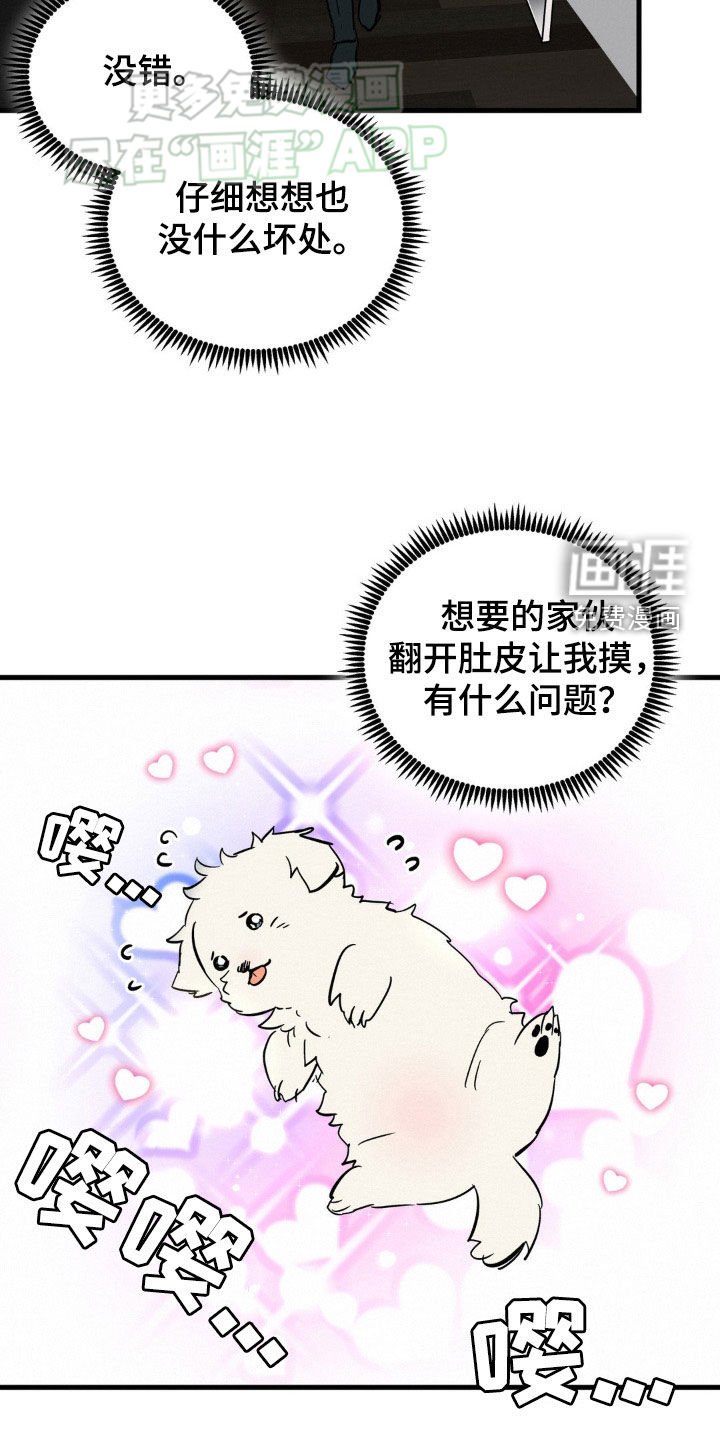 第51章：高档服装