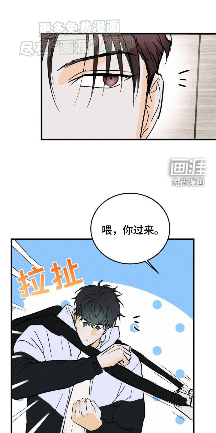第51章：高档服装