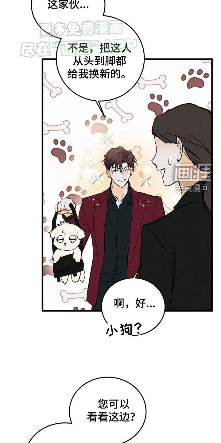 第51章：高档服装