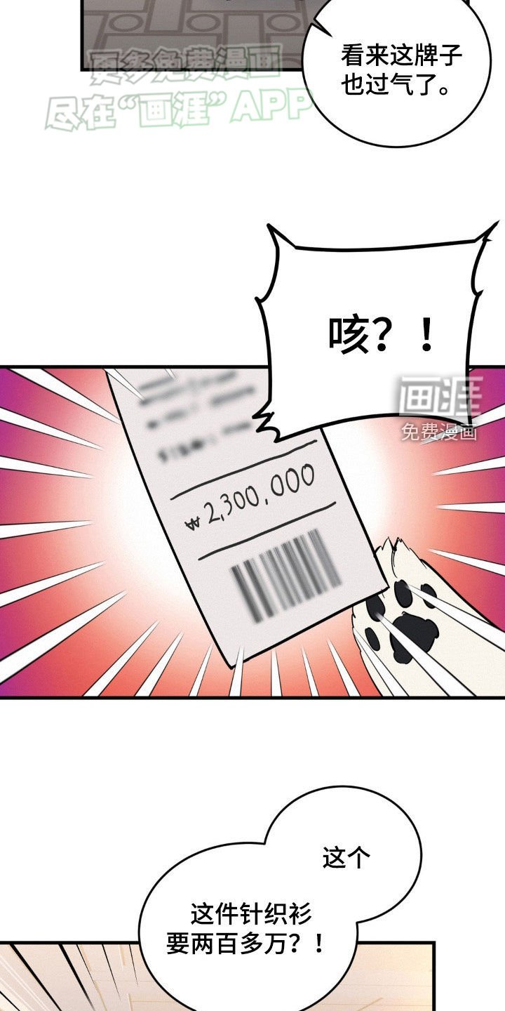 第51章：高档服装