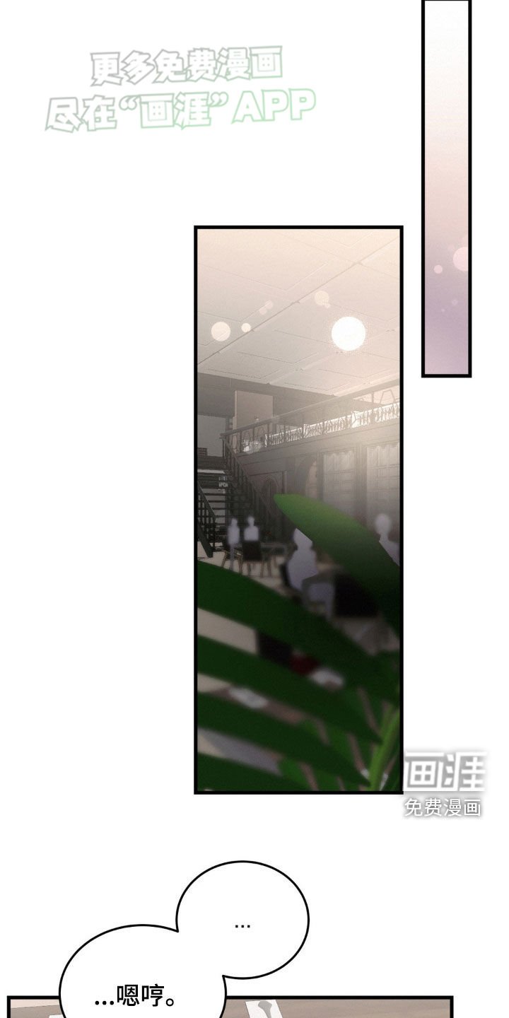 第55章：好久不见