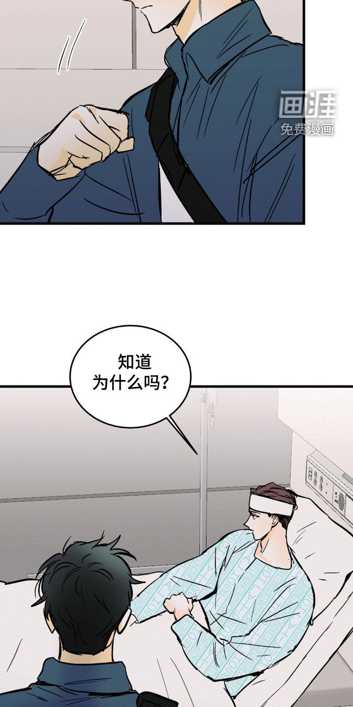 第66章：大鱼