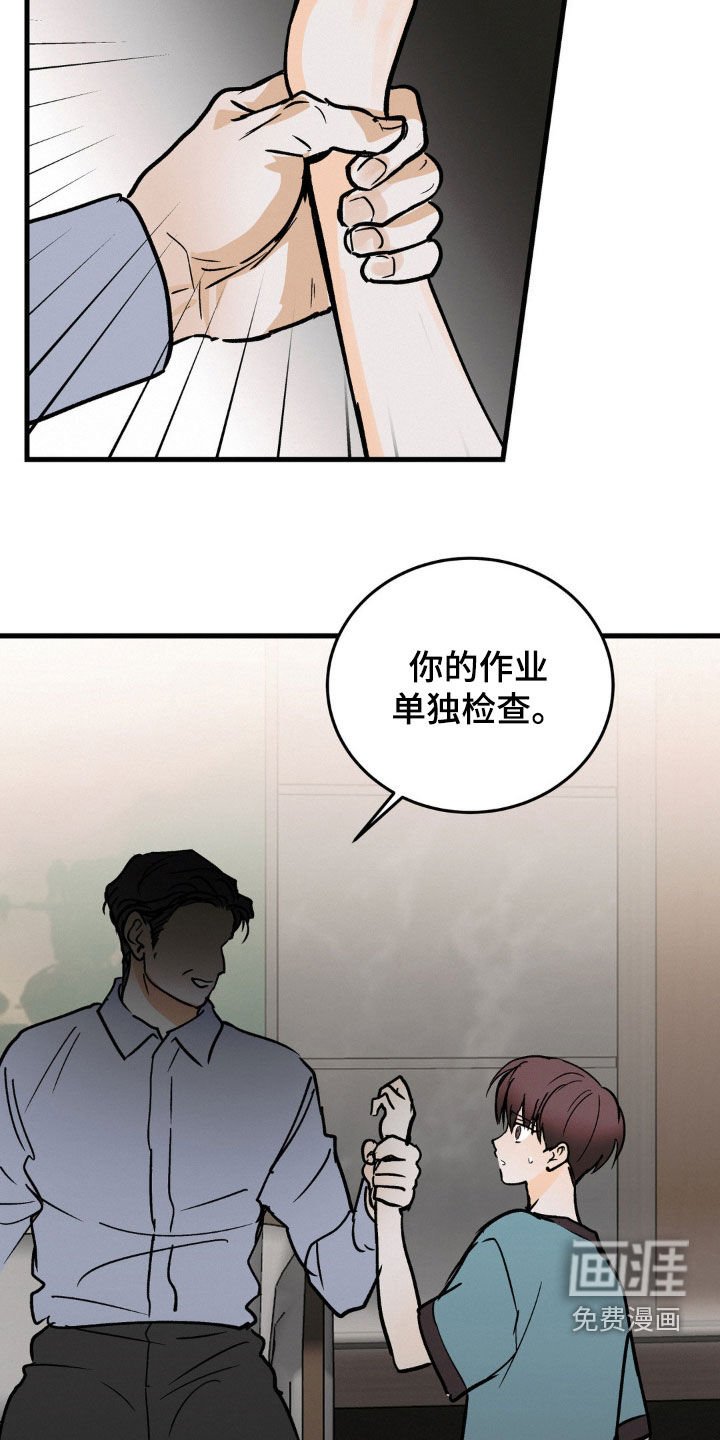 第75章：单独检查