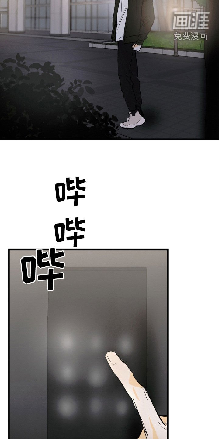 第81章：都会忘掉