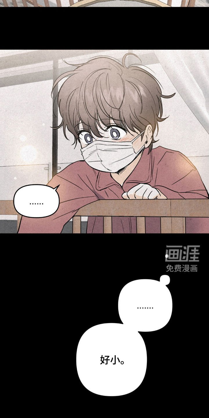 第84章：优秀的弟弟