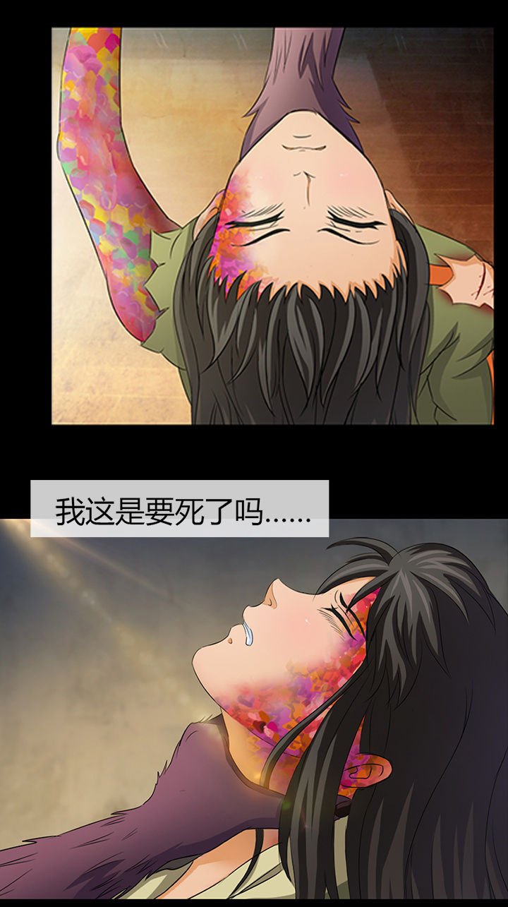 第17章：