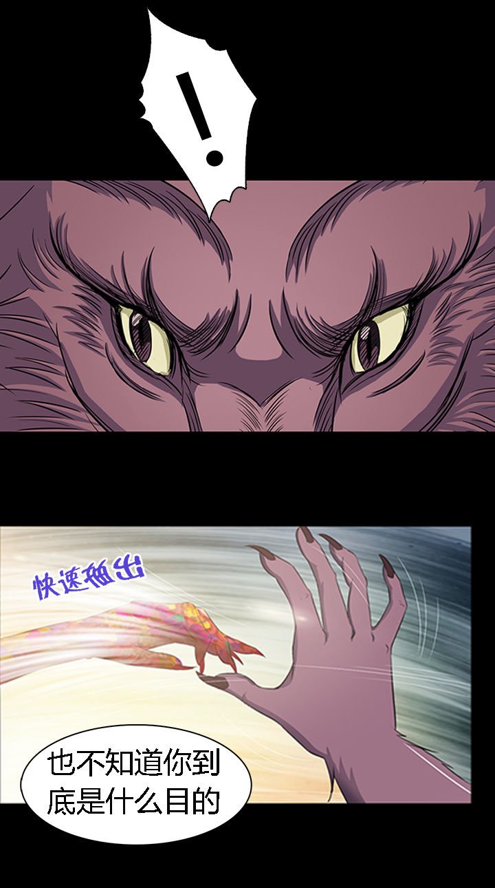第17章：