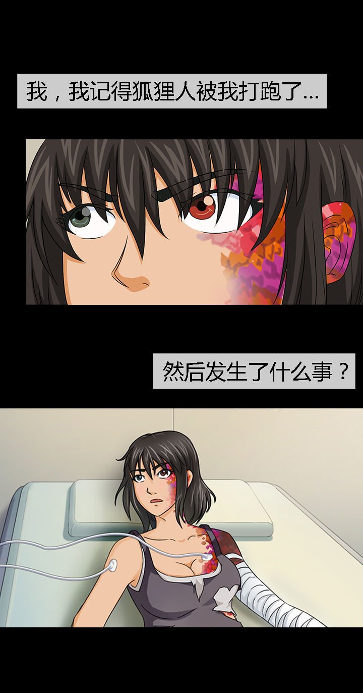 第29章：