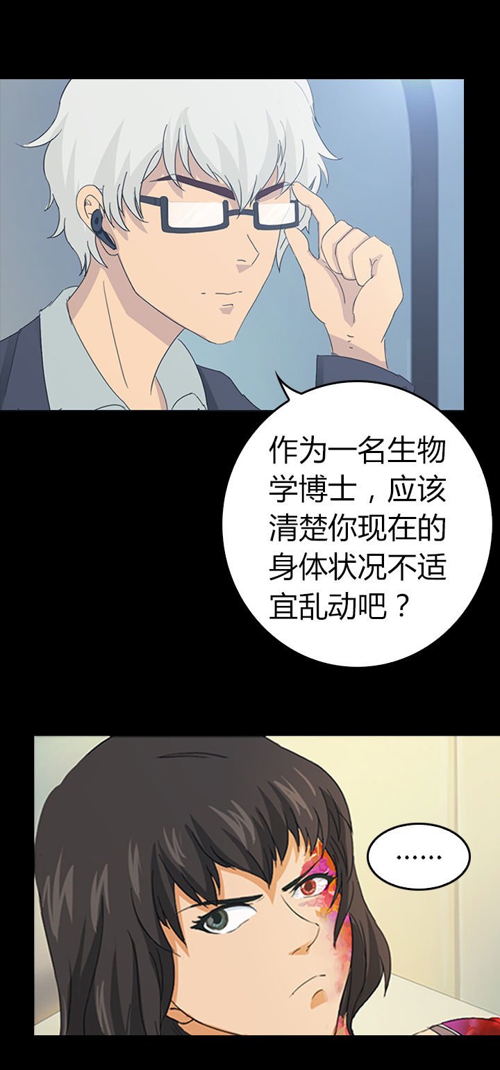 第29章：