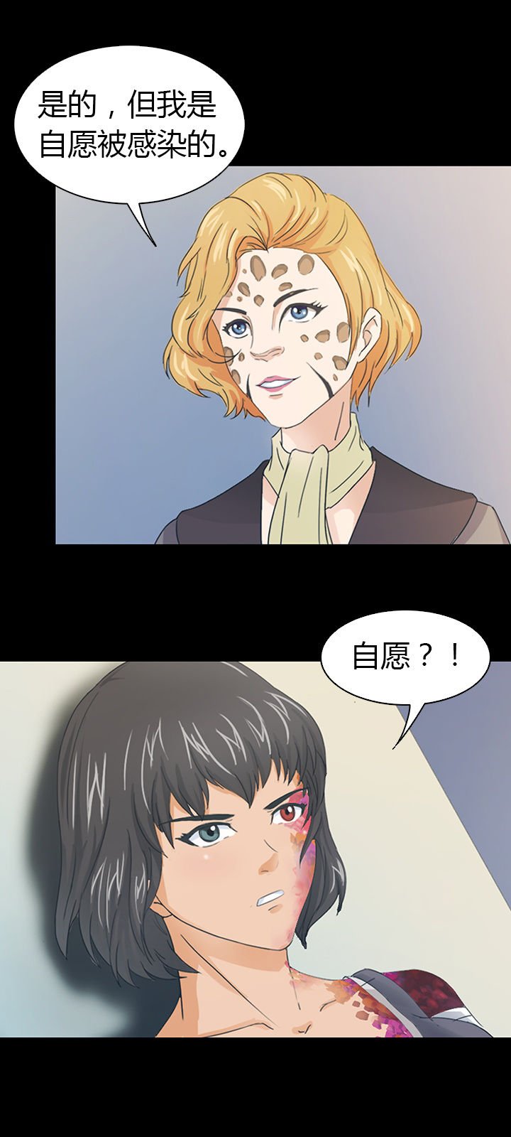 第41章：