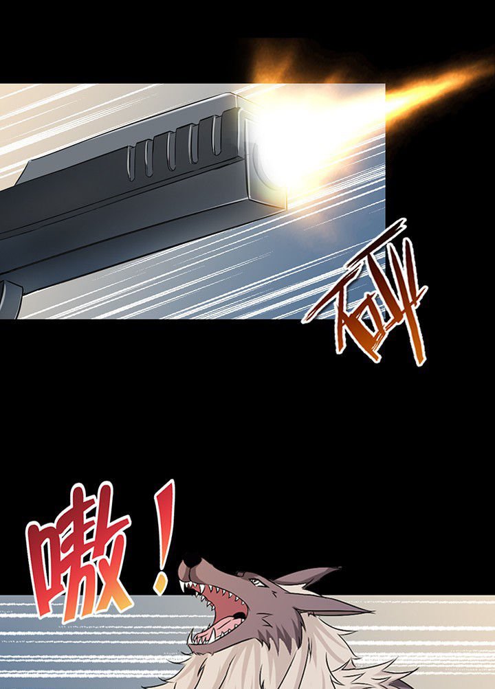 第51章：