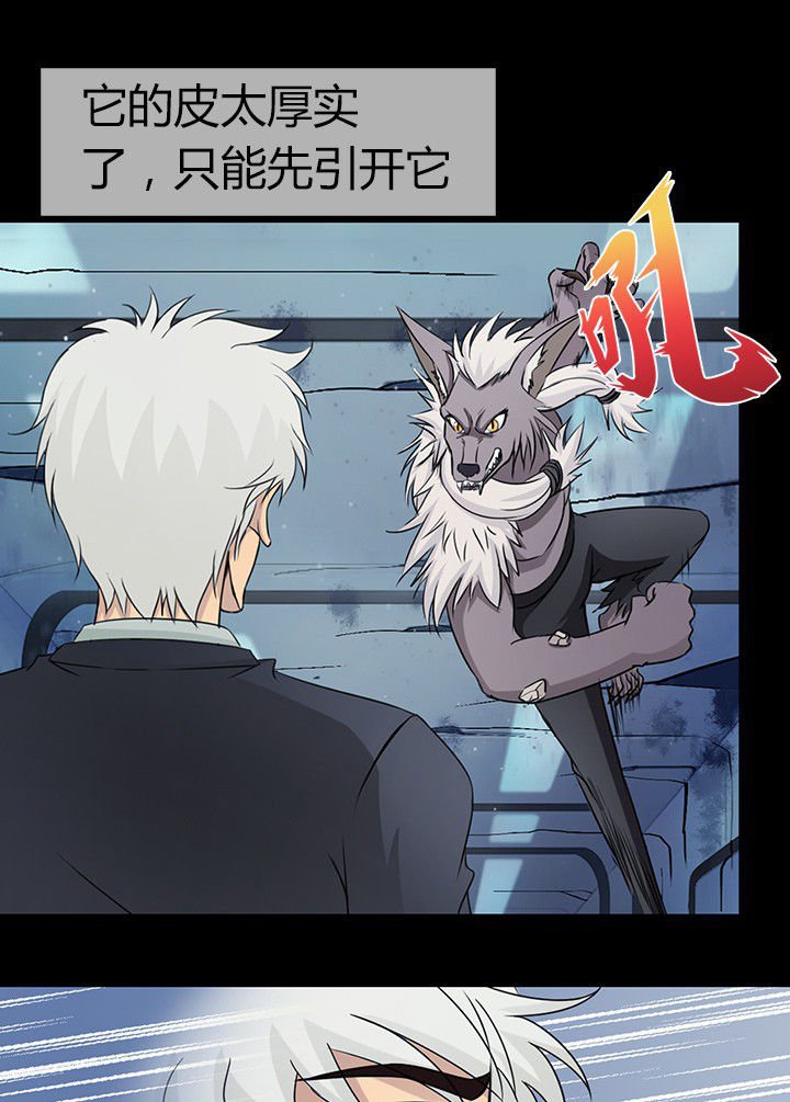 第51章：