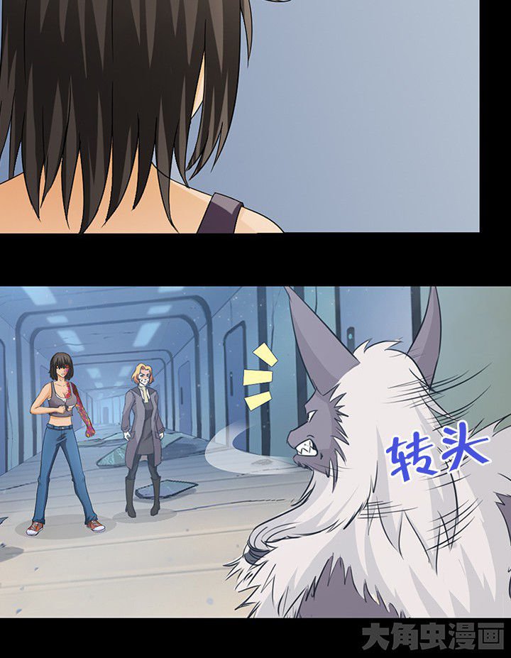 第51章：