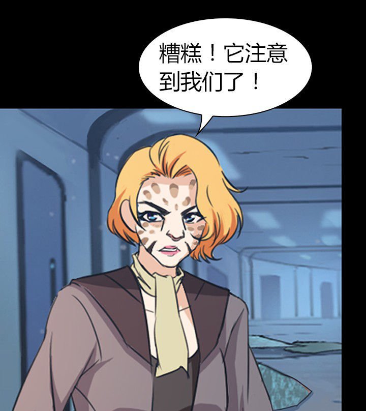 第51章：