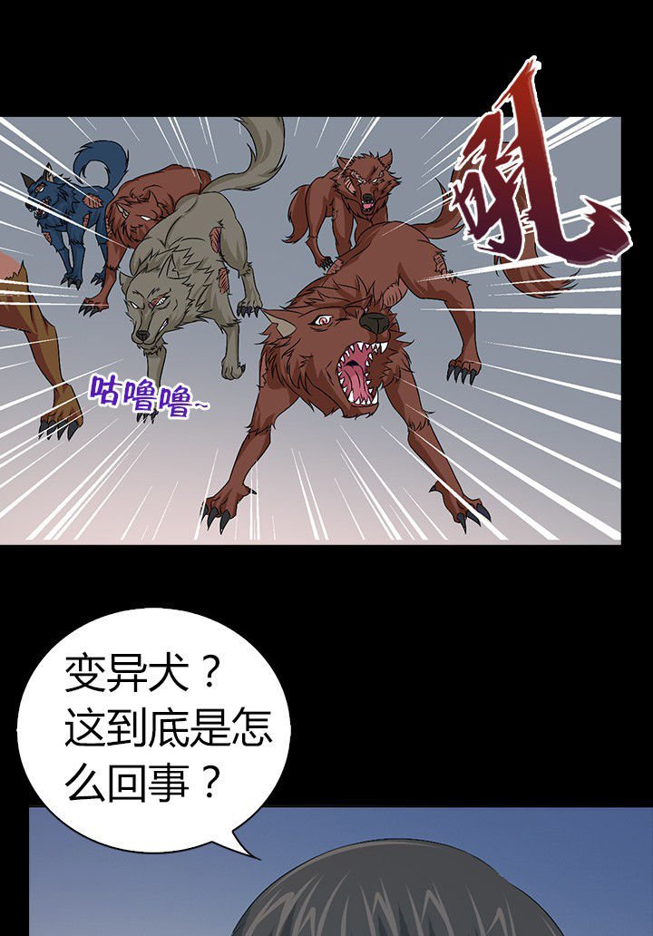 第52章：