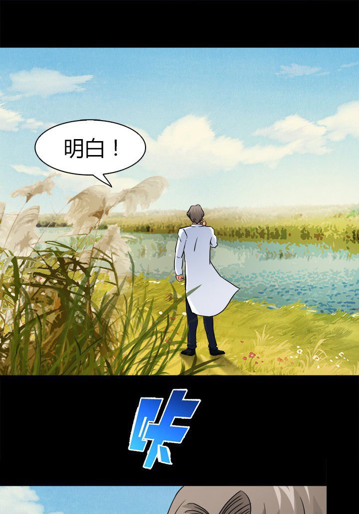 第60章：神奇的自然规律
