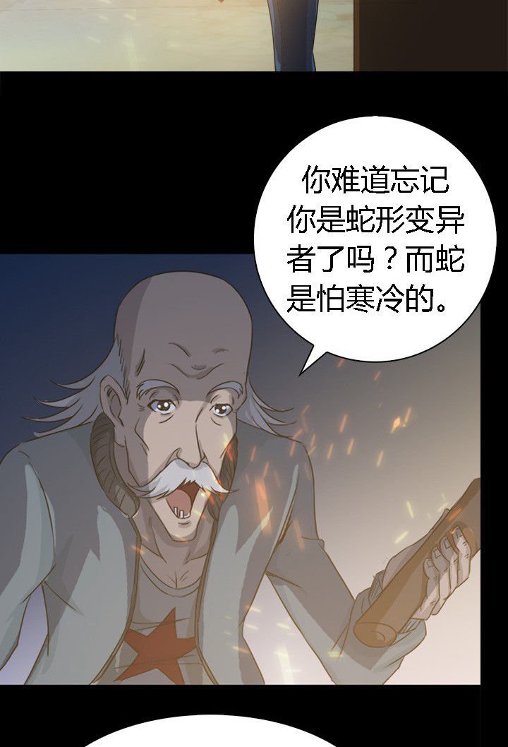 第60章：神奇的自然规律
