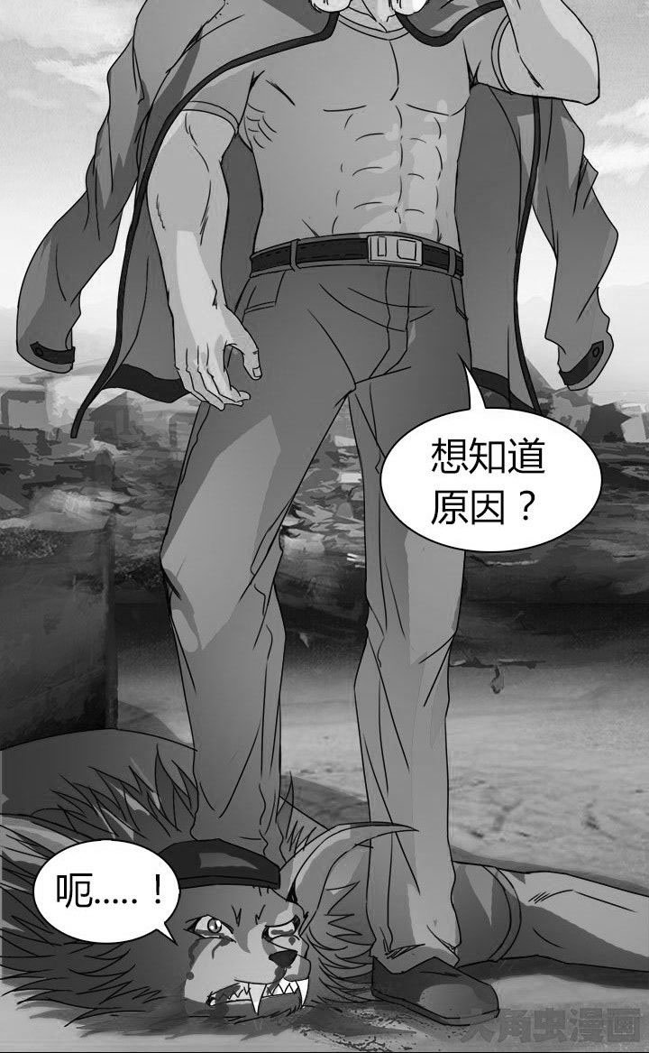 第64章：狐狸人之死