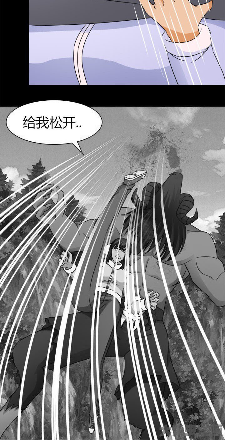 第81章：洪飞之死 