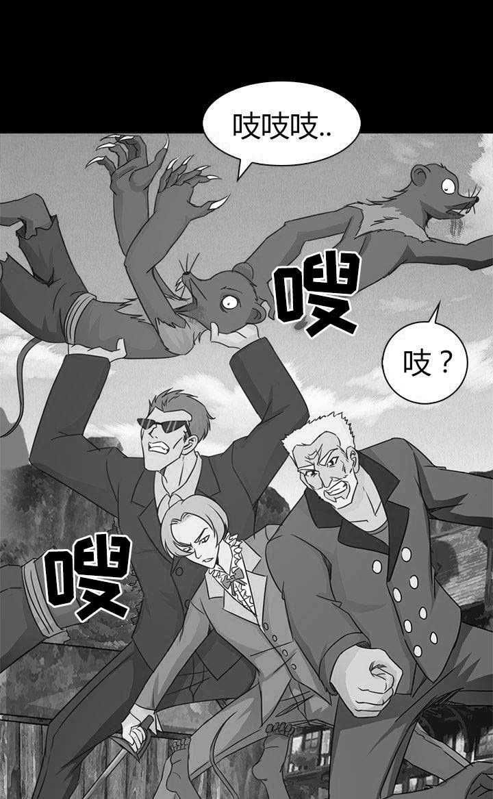 第81章：洪飞之死 