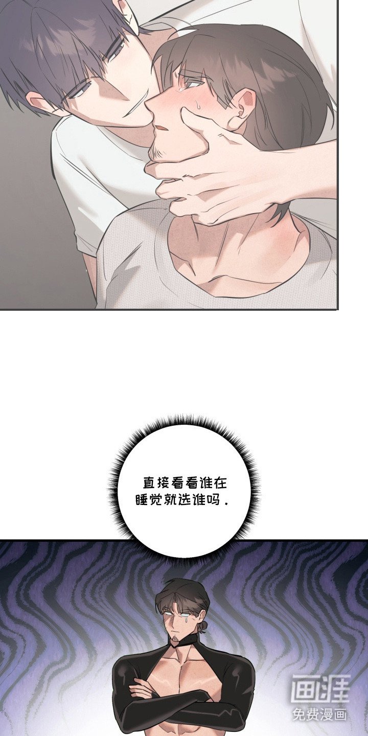 第14章：诱饵