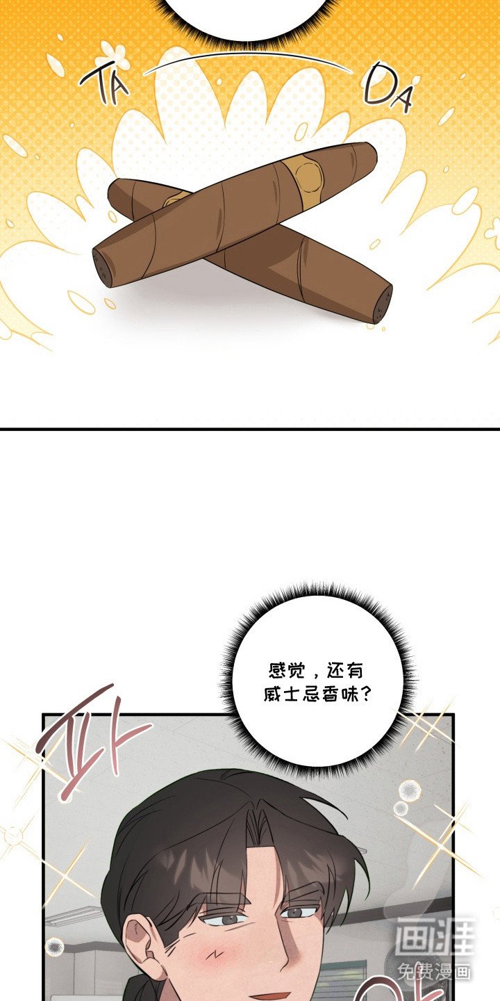 第14章：诱饵