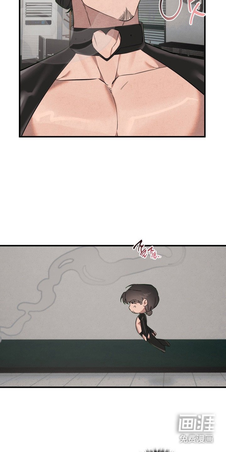 第14章：诱饵