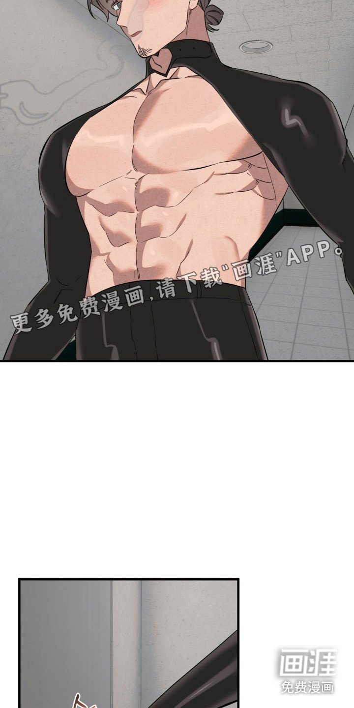 第14章：诱饵