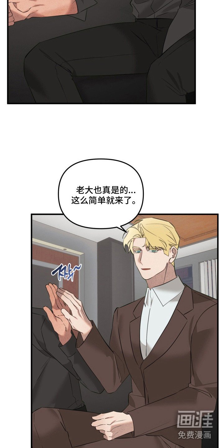 第14章：诱饵