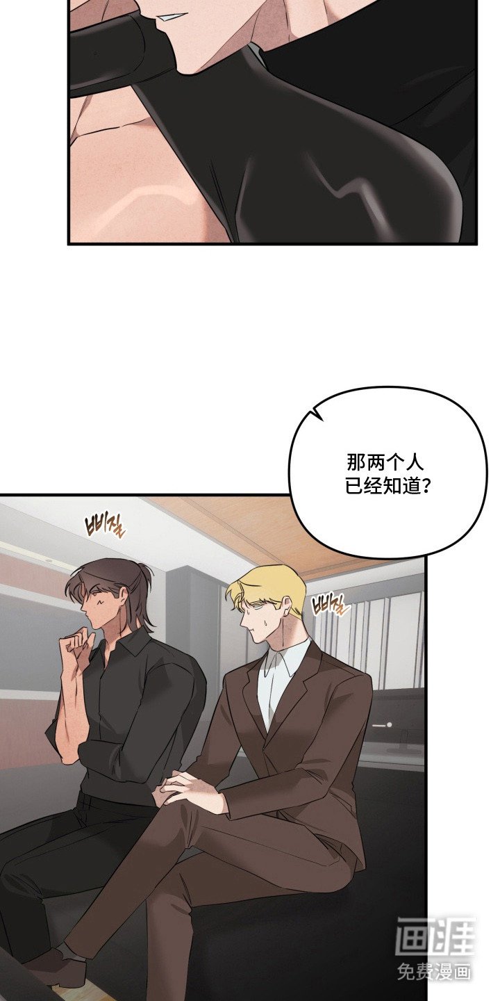 第14章：诱饵