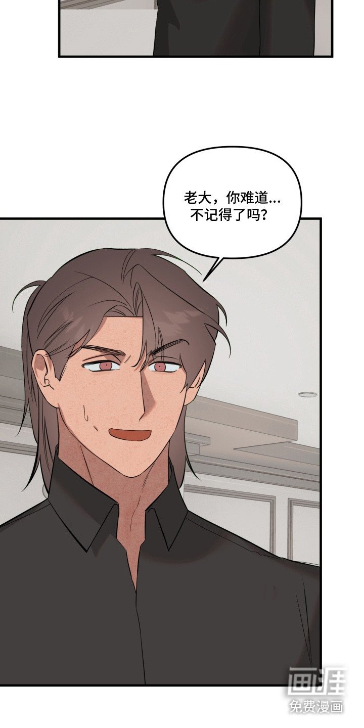 第17章：装傻