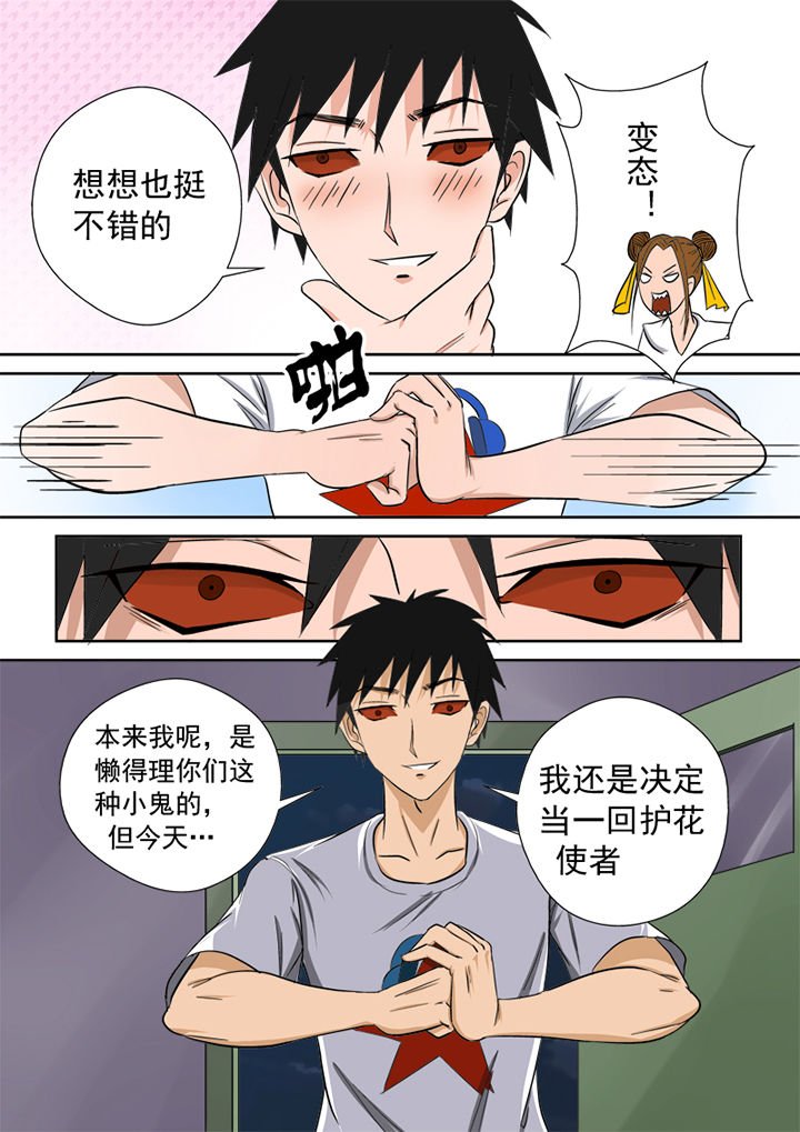 第3章：护花使者
