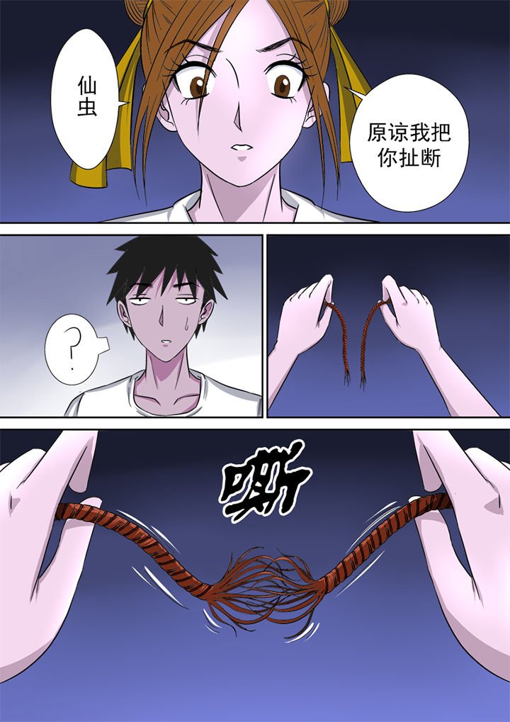 第5章：精魂
