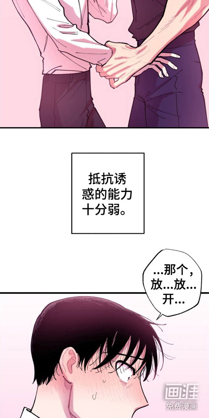 第7章：哄骗