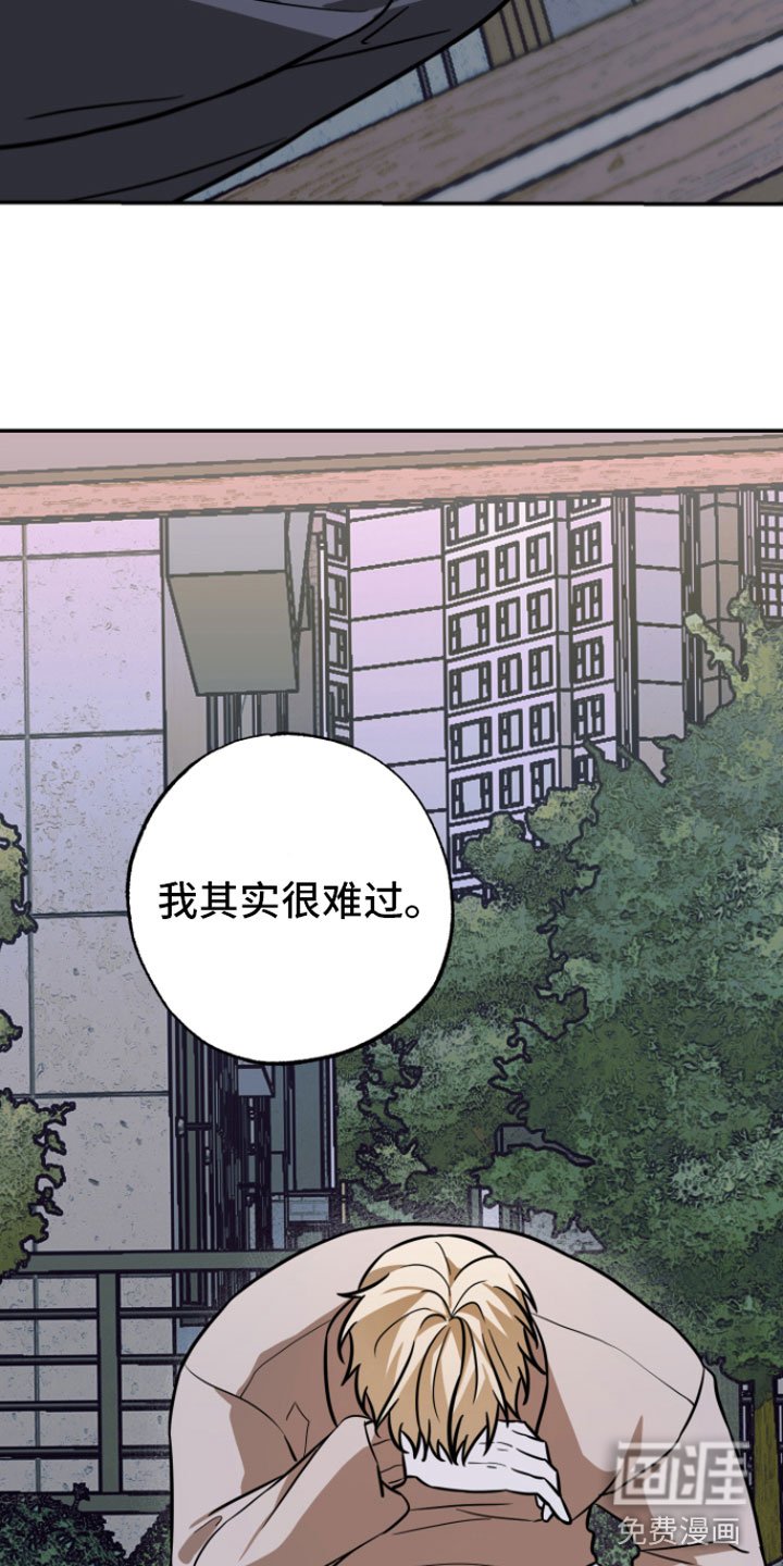 第15章：很难过