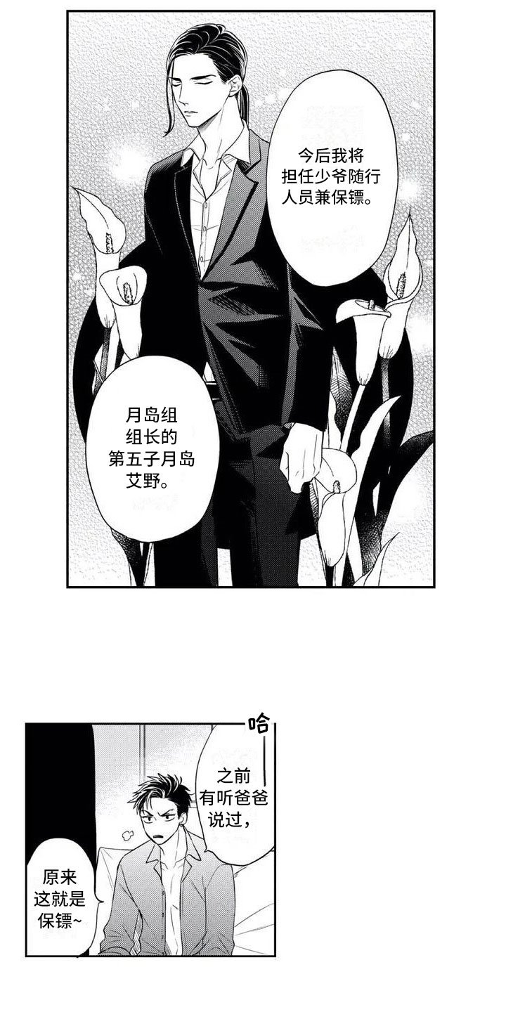 第1章：多了个保镖