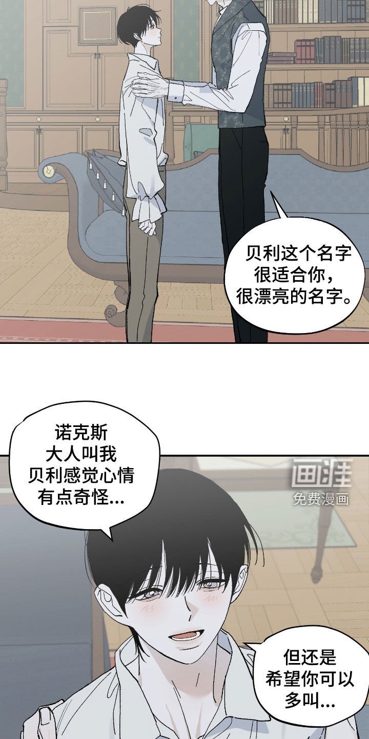 第104章：贝利
