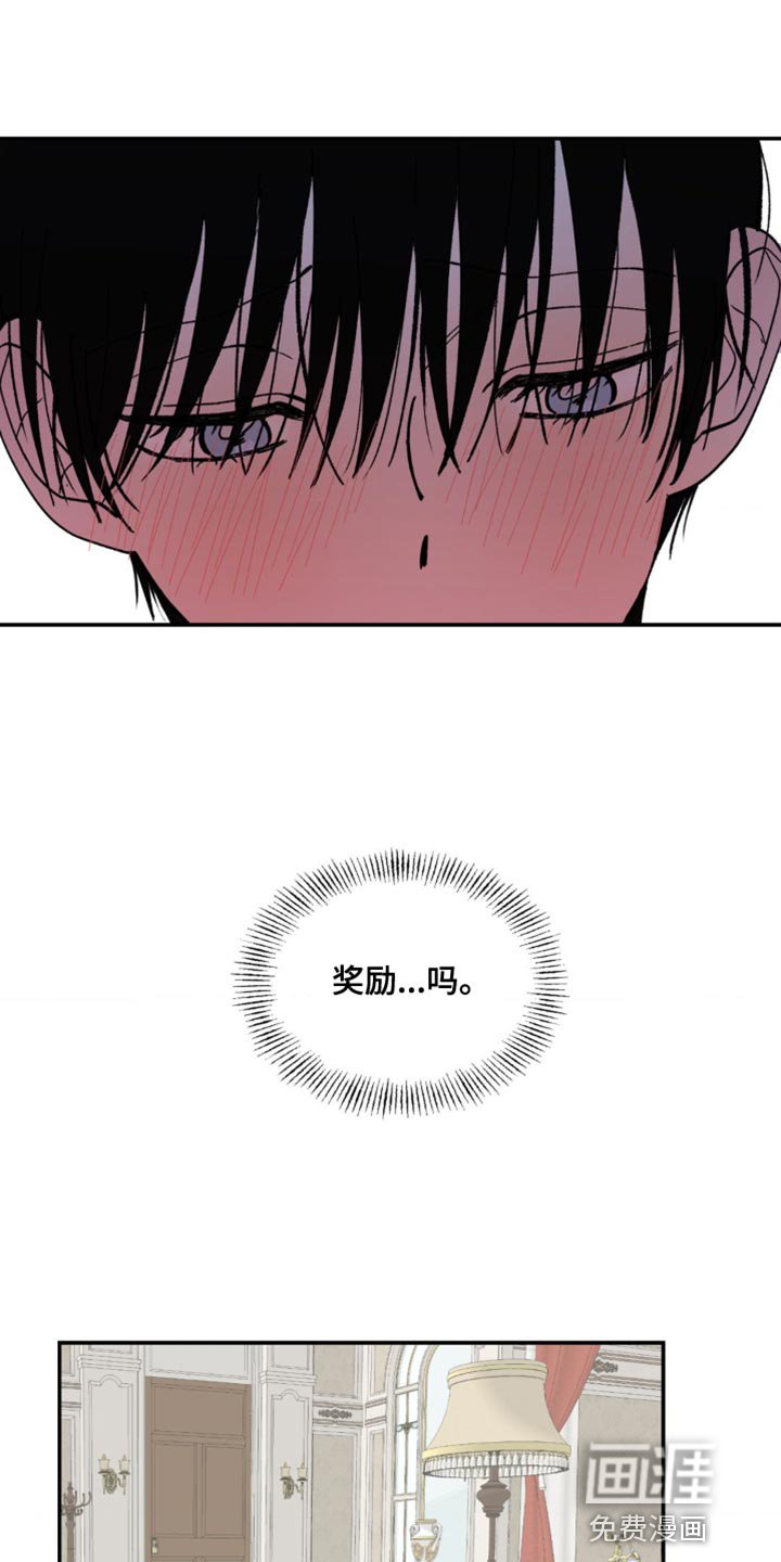 第11章：奖励