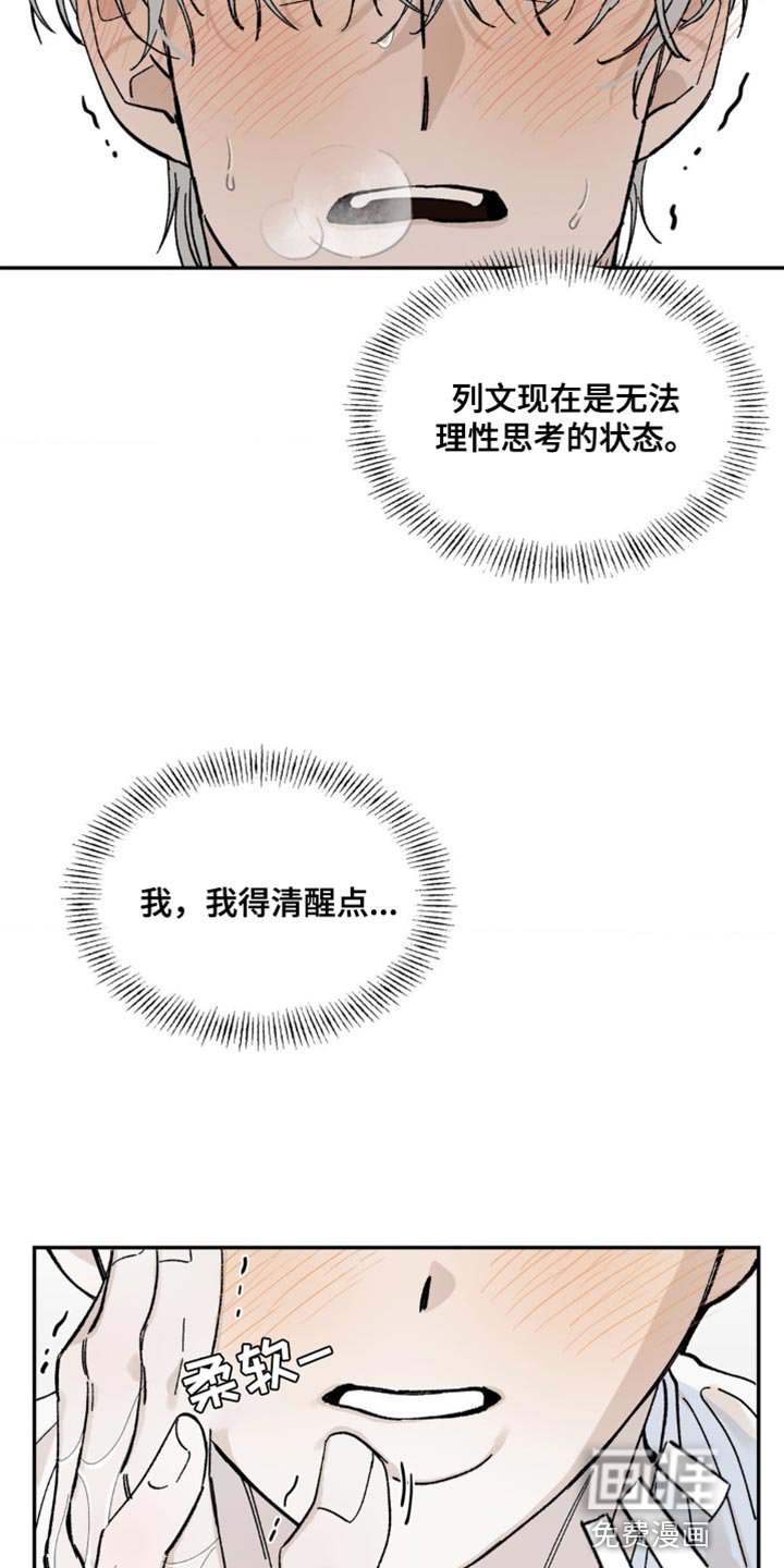 第14章：不要说谎