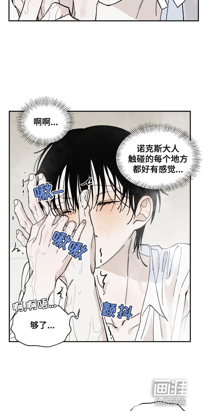 第14章：不要说谎