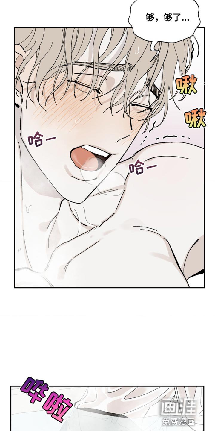 第14章：不要说谎