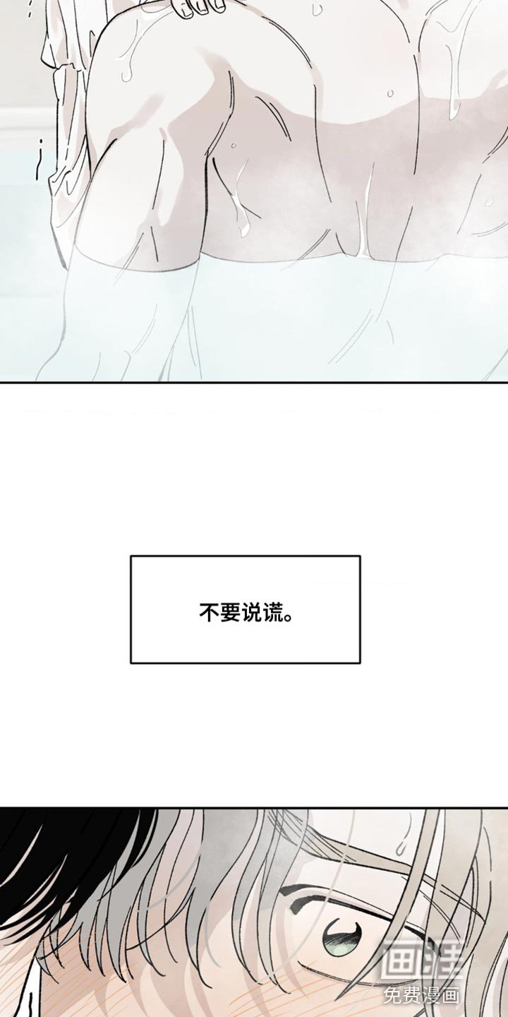 第14章：不要说谎