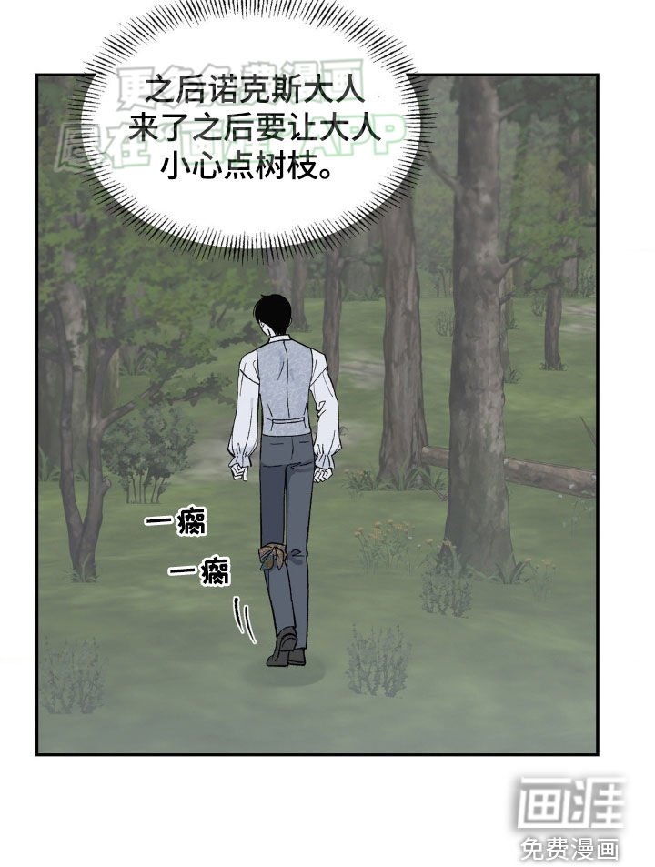 第28章：受伤