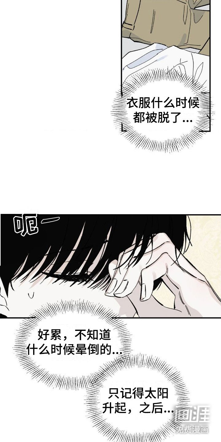 第5章：肚子疼