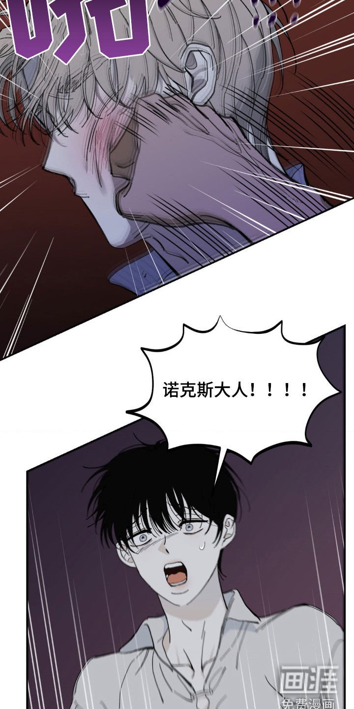 第78章：打斗
