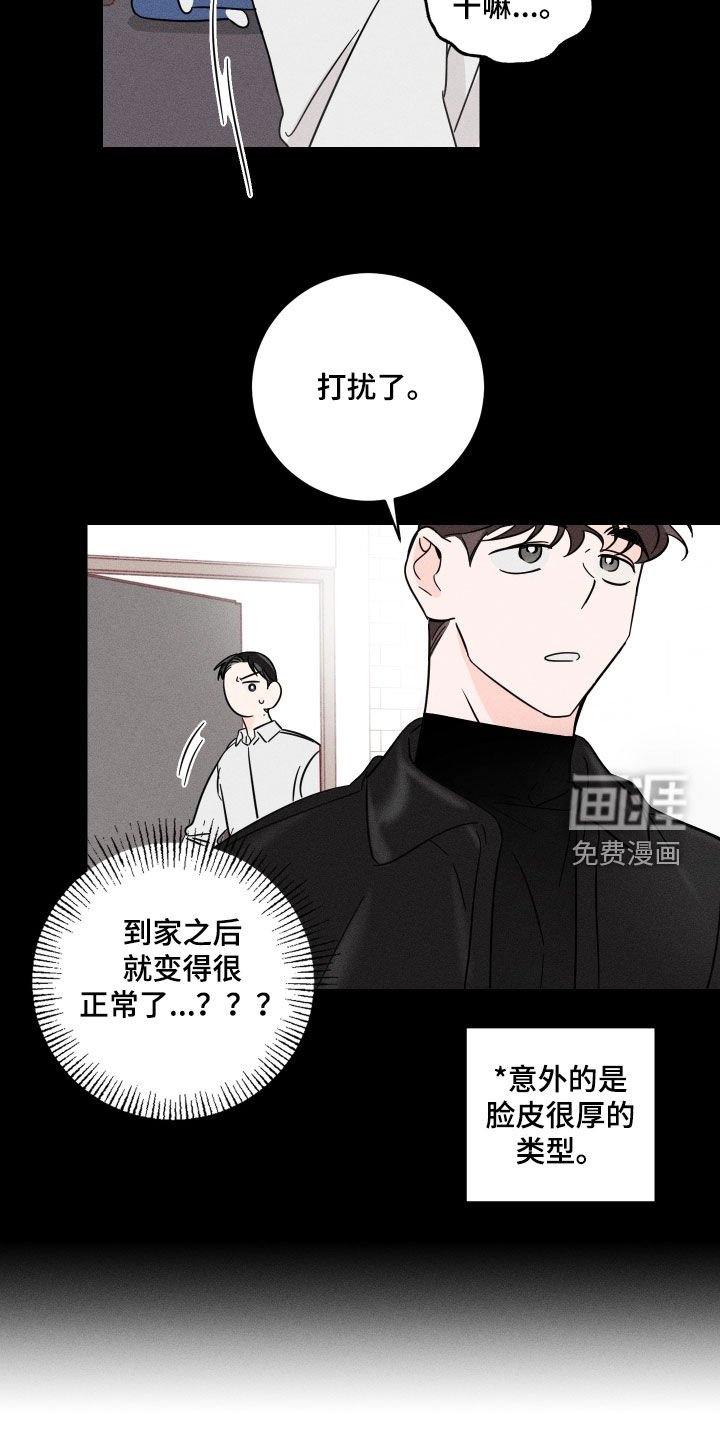 第15章：理想型