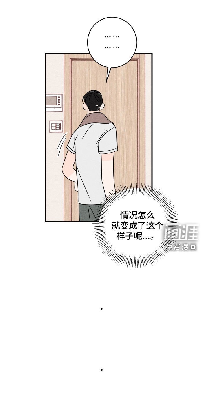 第15章：理想型